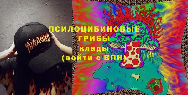 молекула духа Надым