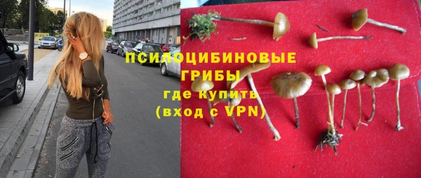 молекула духа Надым