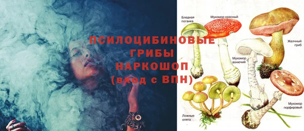 молекула духа Надым