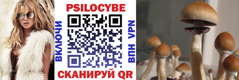 Галлюциногенные грибы GOLDEN TEACHER Приволжск